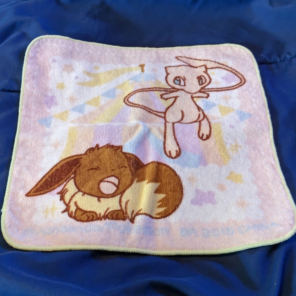 Anime Pokemon Eevee and Mew Wash Cloth